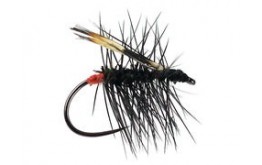 Mauros G Grayling Rassid BL