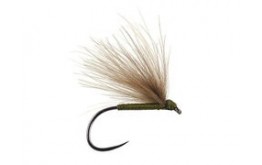 Olive Fratnik Simply Good BL