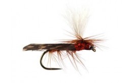 Parachute Caddis Brown BL