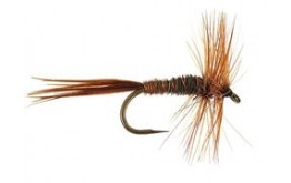 Pheasant Tail BL