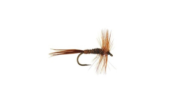 Pheasant Tail BL
