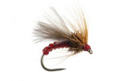 Red Grayling Dream BL