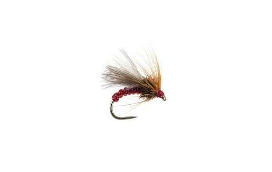 Red Grayling Dream BL