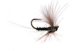 Reversed Black Quill BL