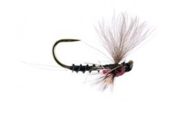 Reversed Black Quill V BL