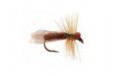 Brown Caddis