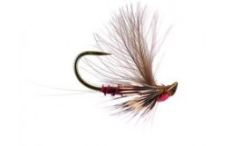 Reversed Claret Quill BL