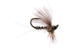 Reversed Grey Quill BL