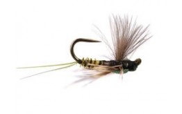 Reversed Olive Quill BL