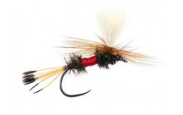 Royal Coachman Parachute BL