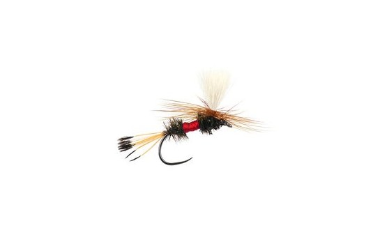 Royal Coachman Parachute BL