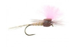 Salmon Tan High Viz Paradream BL