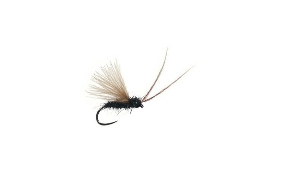 Small Black CDC Caddis BL