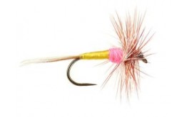 Tups Indispensable BL