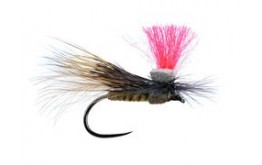 Tyrolean Natural Sedge BL