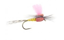 Yellow High Viz Paradream BL