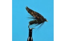 alder fly wet