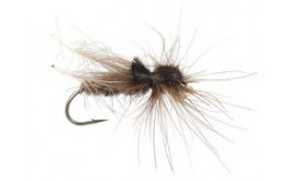 Brown CDC Hopper