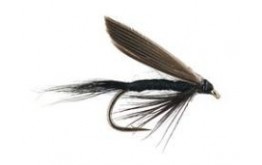 black gnat wet fly