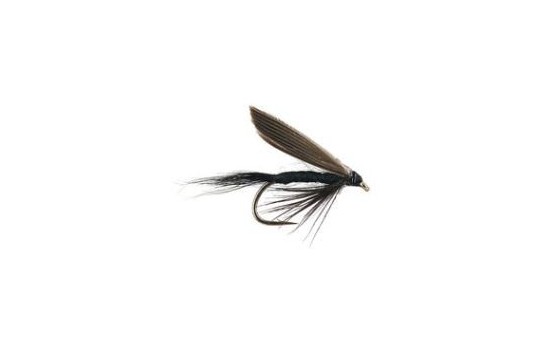 black gnat wet fly