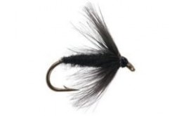 black spider wet fly