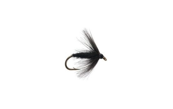 black spider wet fly