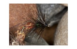 Black and Orange Worm Fly