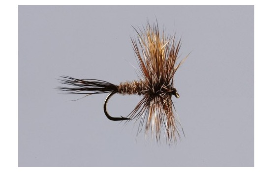 Brown Drake Wulff