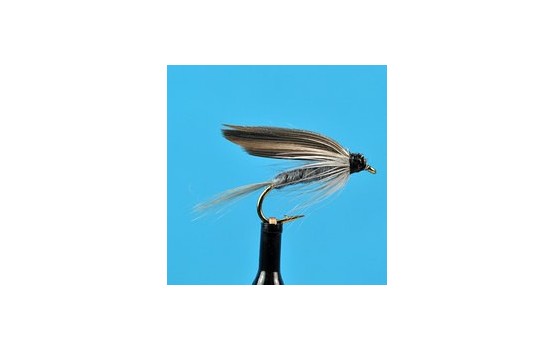 Blue Dun Wet Fly