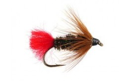 Brown Hackle Peacock