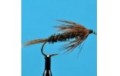 Carey Special Wet Fly