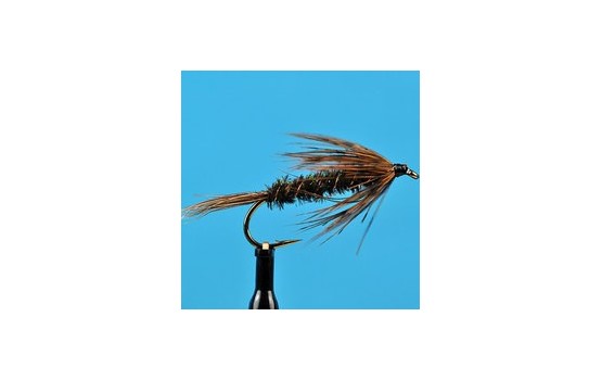 Carey Special Wet Fly