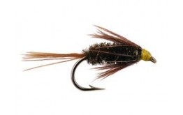 Carey Spezial Peacock