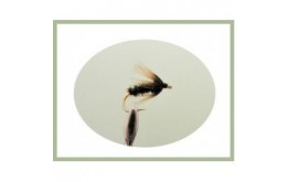 Coch y bonddu wet fly