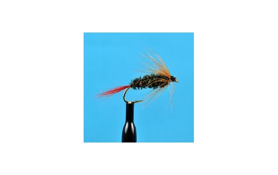 Brown Hackle Peacock