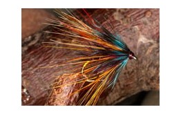 CripplerClaretBumble