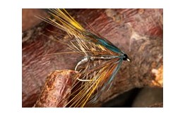 CripplerSilverInvicta