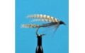 Dark Cahill Wet Fly