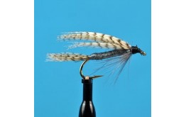 Dark Cahill Wet Fly