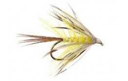 French Partridge Mayfly