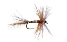 Brown Quill CDC Mix