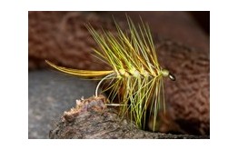 GartmorePalmerYellow