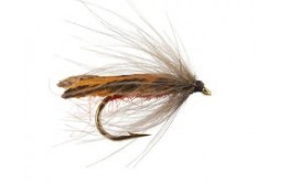 Brown Stocking Wings Caddis