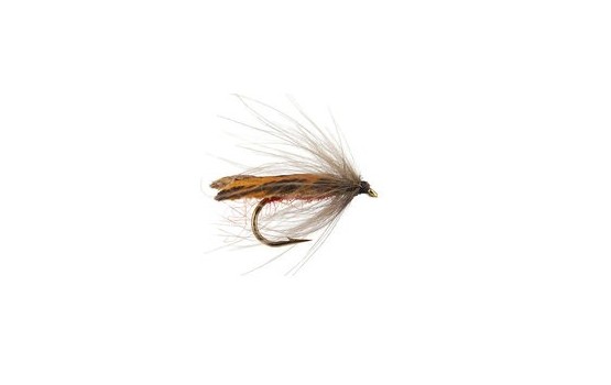 Brown Stocking Wings Caddis