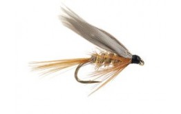 Gold Ribbed Hares Ear