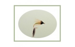 Greenwell Glory Wet Hackled