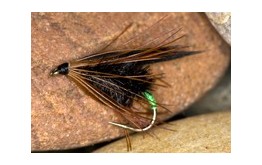 HaulyGwenTungstenrnButt