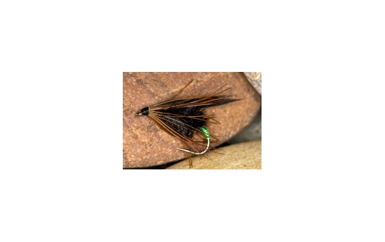 HaulyGwenTungstenrnButt