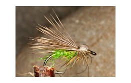 BulletHeadElkHairCaddis