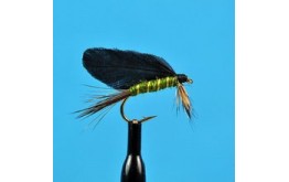 Burnt Wing Green Drake